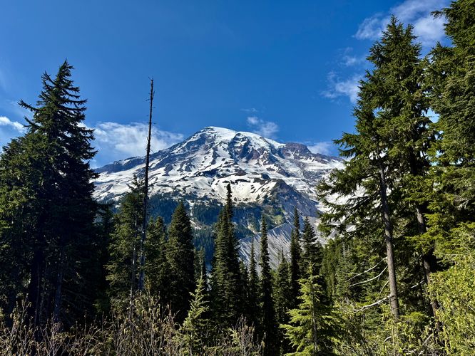 Picture 30 of Nisqually Vista Trail
