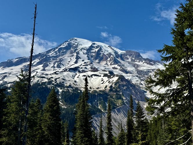 Picture 31 of Nisqually Vista Trail