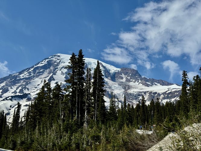 Picture 26 of Nisqually Vista Trail