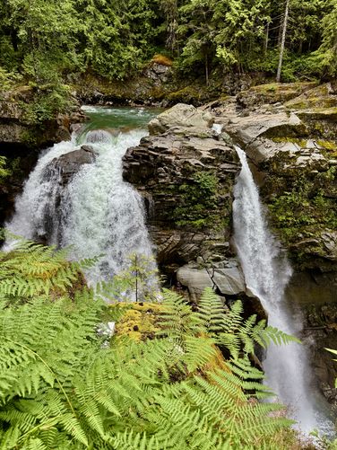 Picture 4 of Nooksack Falls Trail