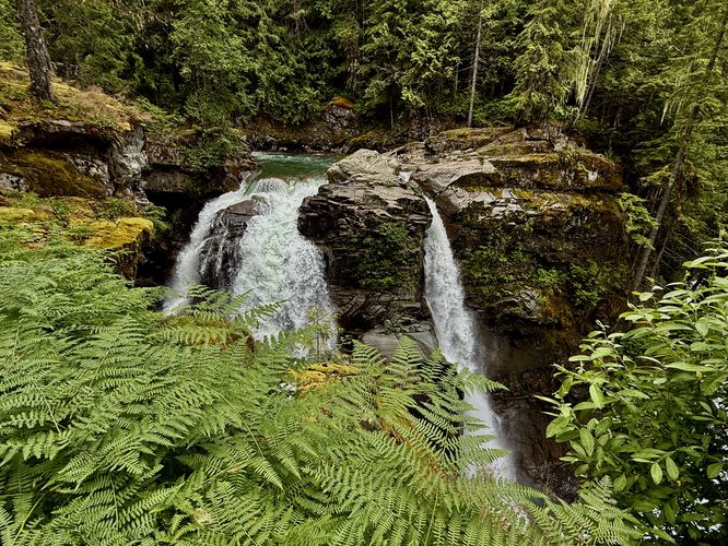 Picture 5 of Nooksack Falls Trail