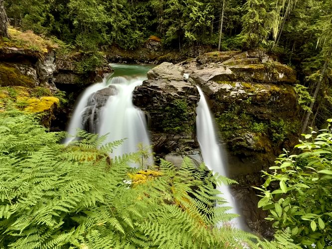 Picture 6 of Nooksack Falls Trail