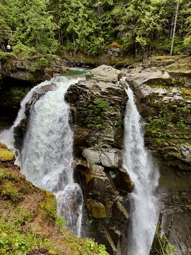 Picture 8 of Nooksack Falls Trail