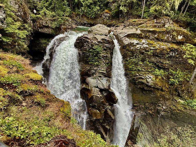 Picture 10 of Nooksack Falls Trail