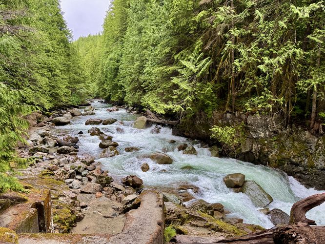 Upstream view of the North Fork Noosack River