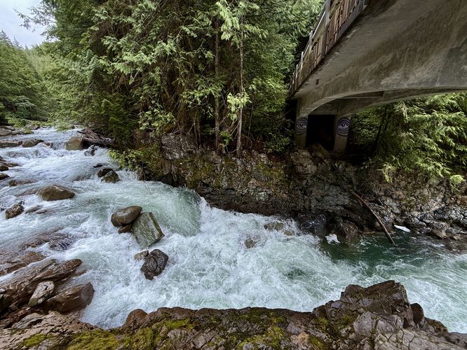 View from under the Wells Creek Road bridge