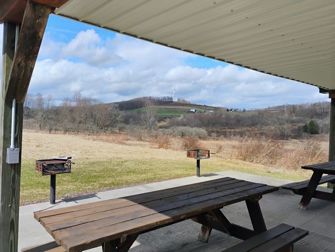 Picnic Area View