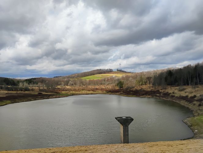 Default image for North Fork Dam Hike, a 1.0-mile trail in Harrison Valley, PA (US)