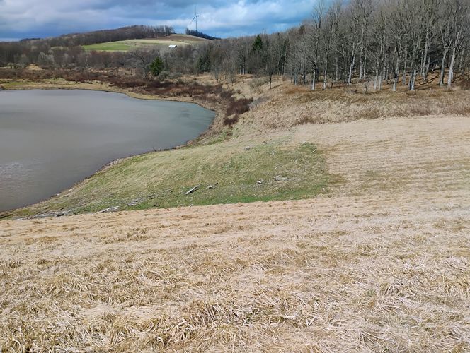 Grassy Channel to Spillway
