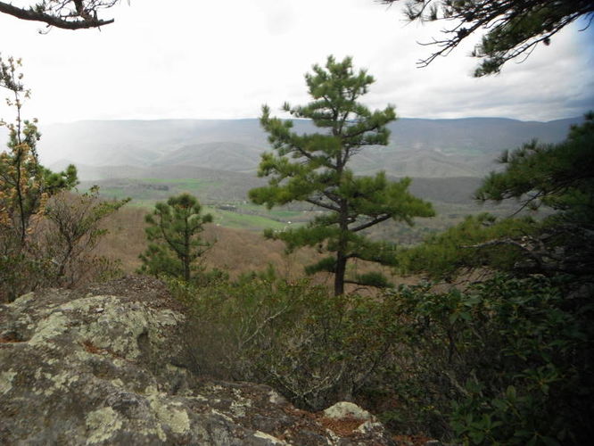 Picture 3 of North Fork Mountain Hike 051014