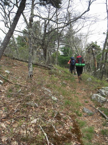 Picture 4 of North Fork Mountain Hike 051014
