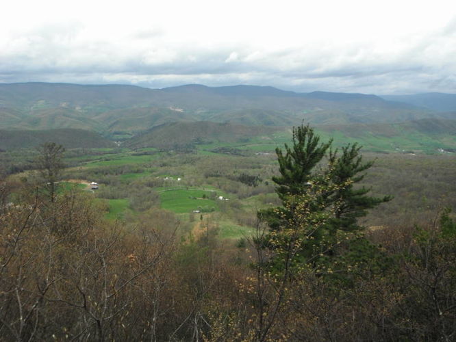Picture 5 of North Fork Mountain Hike 051014