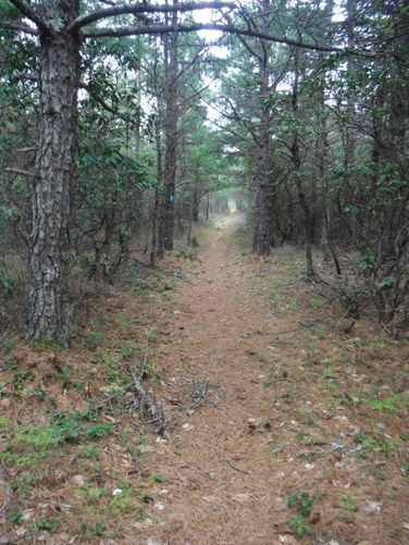 Picture 6 of North Fork Mountain Hike 051014