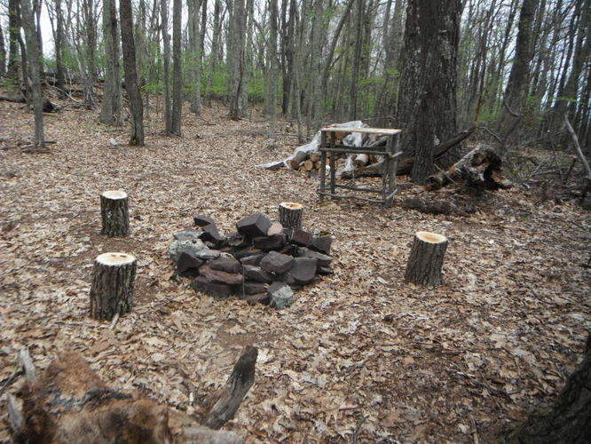 Picture 7 of North Fork Mountain Hike 051014