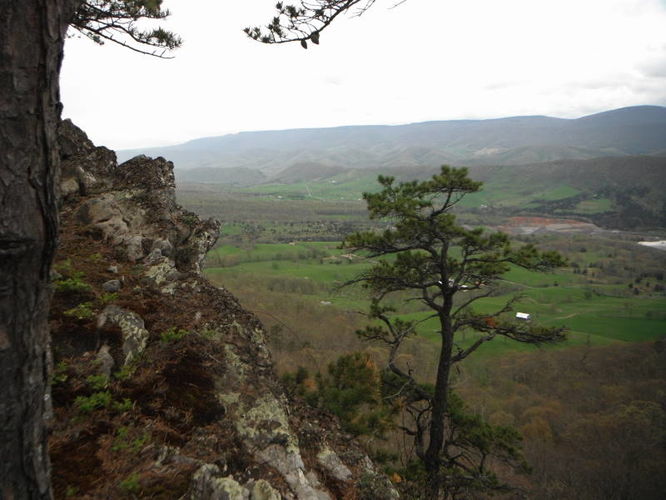 Picture 8 of North Fork Mountain Hike 051014
