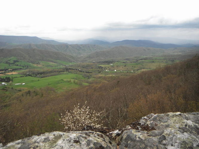Picture 9 of North Fork Mountain Hike 051014