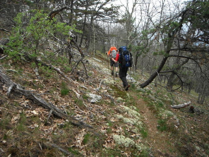 Picture 12 of North Fork Mountain Hike 051014