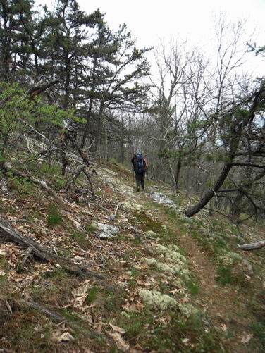 Picture 13 of North Fork Mountain Hike 051014