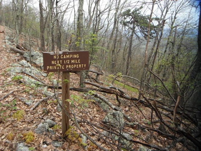 Picture 14 of North Fork Mountain Hike 051014
