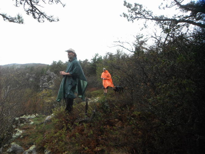 Picture 17 of North Fork Mountain Hike 051014