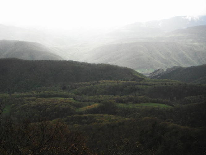 Picture 18 of North Fork Mountain Hike 051014