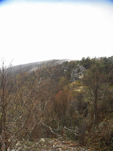 Picture 19 of North Fork Mountain Hike 051014