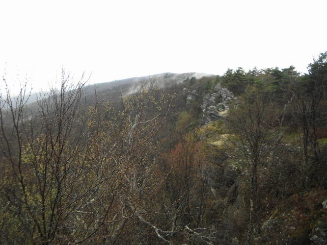 Picture 20 of North Fork Mountain Hike 051014