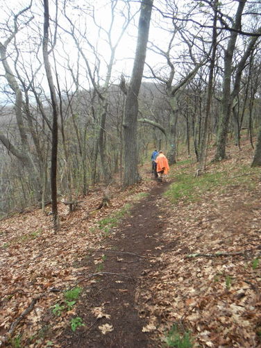 Picture 22 of North Fork Mountain Hike 051014