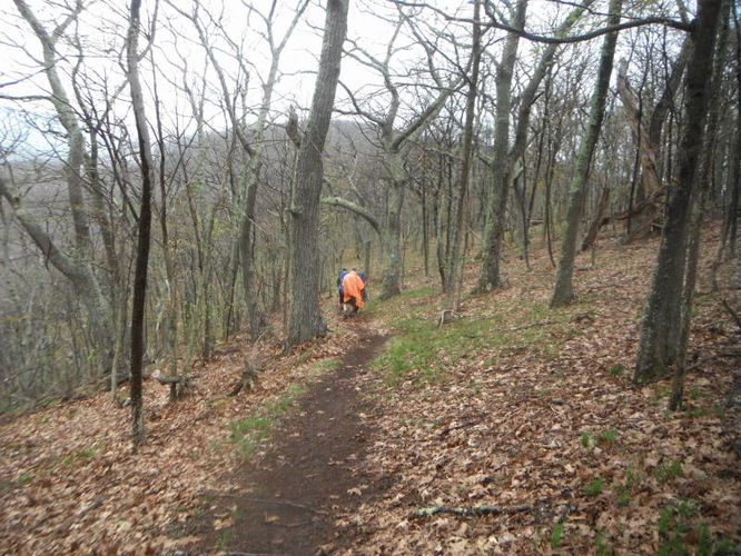 Picture 23 of North Fork Mountain Hike 051014