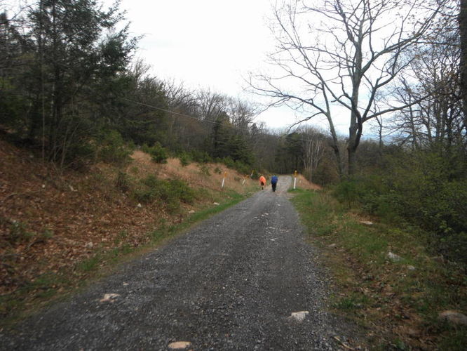 Picture 25 of North Fork Mountain Hike 051014