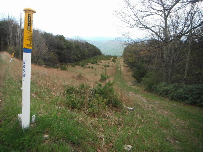 Picture 26 of North Fork Mountain Hike 051014