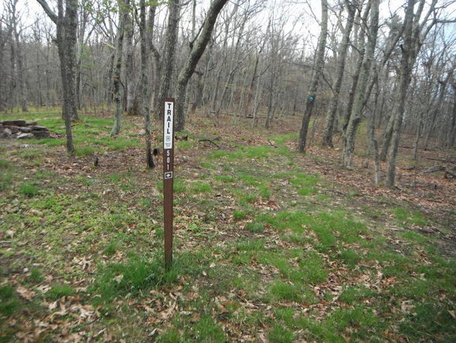 Picture 27 of North Fork Mountain Hike 051014