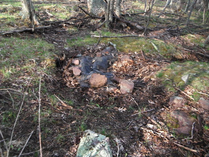Picture 31 of North Fork Mountain Hike 051014