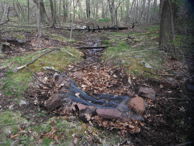 Picture 32 of North Fork Mountain Hike 051014