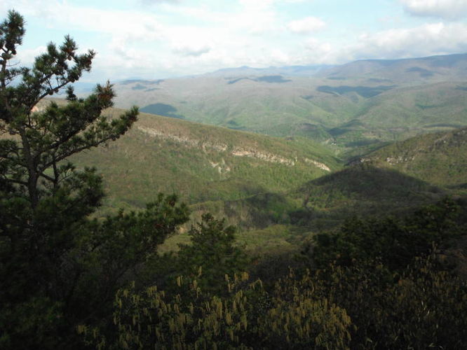 Picture 34 of North Fork Mountain Hike 051014