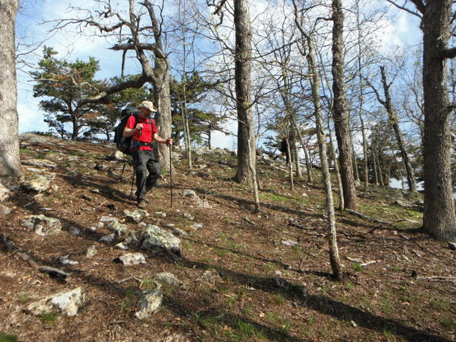 Picture 35 of North Fork Mountain Hike 051014
