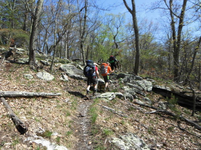 Picture 40 of North Fork Mountain Hike 051014