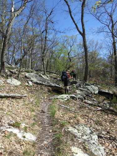 Picture 41 of North Fork Mountain Hike 051014