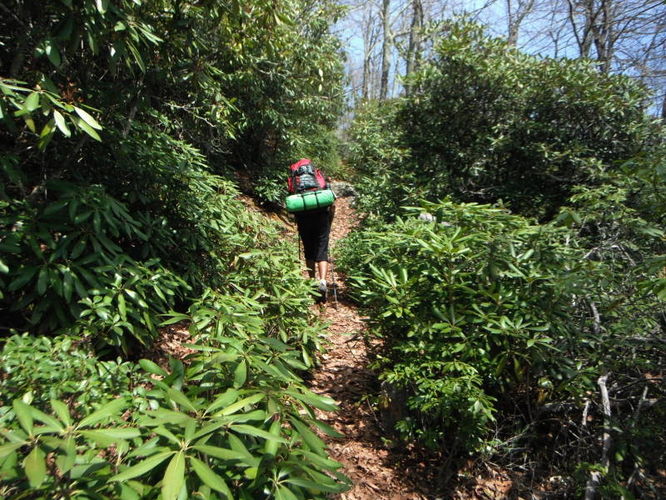 Picture 43 of North Fork Mountain Hike 051014