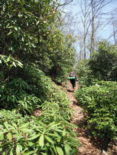 Picture 44 of North Fork Mountain Hike 051014