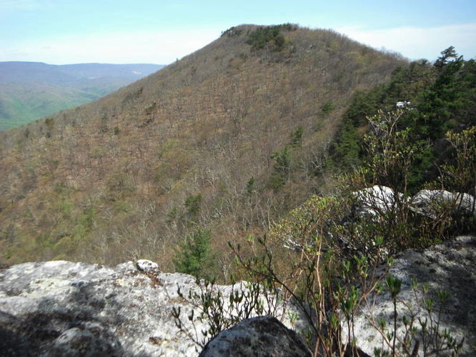 Picture 45 of North Fork Mountain Hike 051014