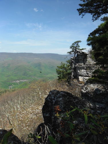 Picture 46 of North Fork Mountain Hike 051014