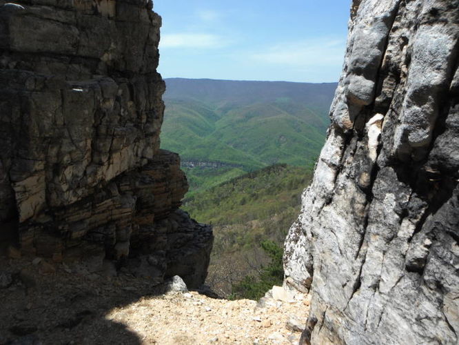 Picture 47 of North Fork Mountain Hike 051014