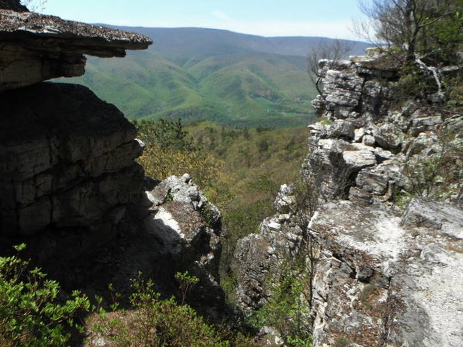 Picture 51 of North Fork Mountain Hike 051014
