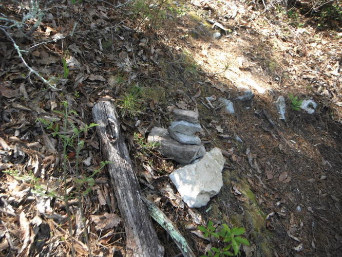 Picture 57 of North Fork Mountain Hike 051014