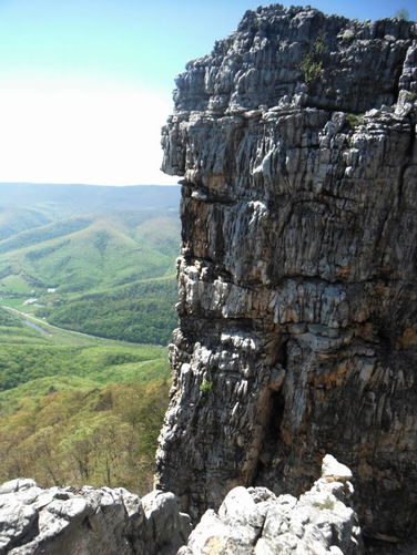 Picture 59 of North Fork Mountain Hike 051014