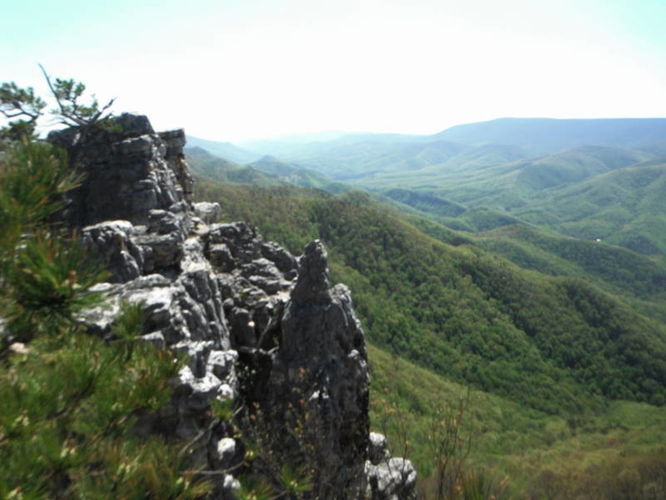 Picture 60 of North Fork Mountain Hike 051014