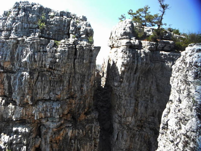 Picture 61 of North Fork Mountain Hike 051014
