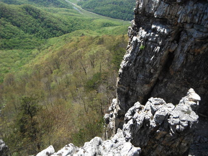 Picture 62 of North Fork Mountain Hike 051014