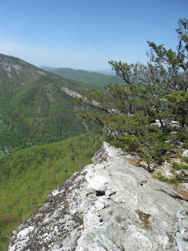 Picture 63 of North Fork Mountain Hike 051014